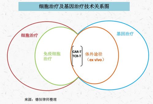 德恒律師事務(wù)所的專業(yè)視角 人體干細(xì)胞技術(shù)在北京與重慶的開發(fā)與應(yīng)用法律實(shí)務(wù)